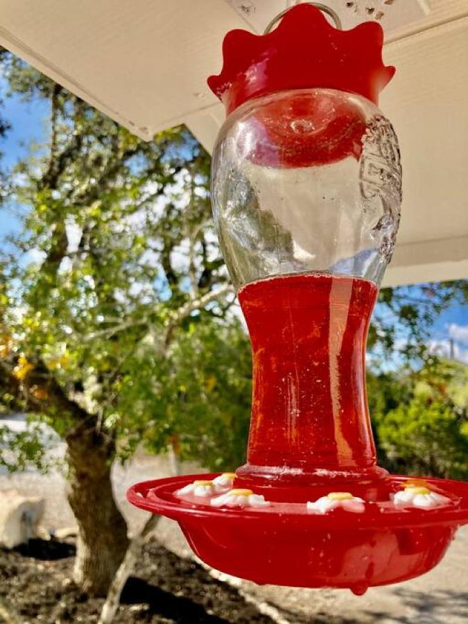 Villa Hummingbird Haus - Hill Country Views On 20 Acres With Firepit Spring Branch Exterior foto